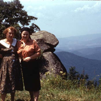 Photo of Bombi Dausin